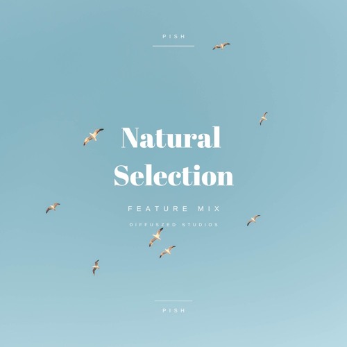 Pish @ Natural Selection [Diffuszed Studios]