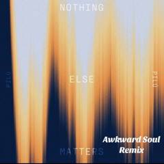 Pilú- Nothing Else Matters (Awkward Soul ‘Remix)