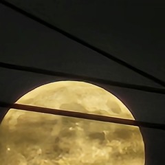 (levantine) ليفانتين