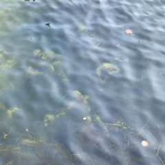 Acoustic Cover - Hands of Time - Groove Armada