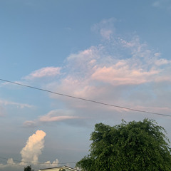 NHÂN GIAN - Nhất Chi Lựu Liên