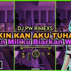 DJ HAPUS AKU BREAKBEAT GALAU - DJ PW RIMEXS