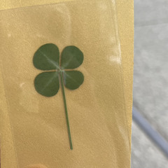 [cover] 원필 (DAY6) - 행운을 빌어 줘