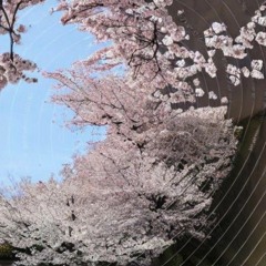 EverLasting With T.B