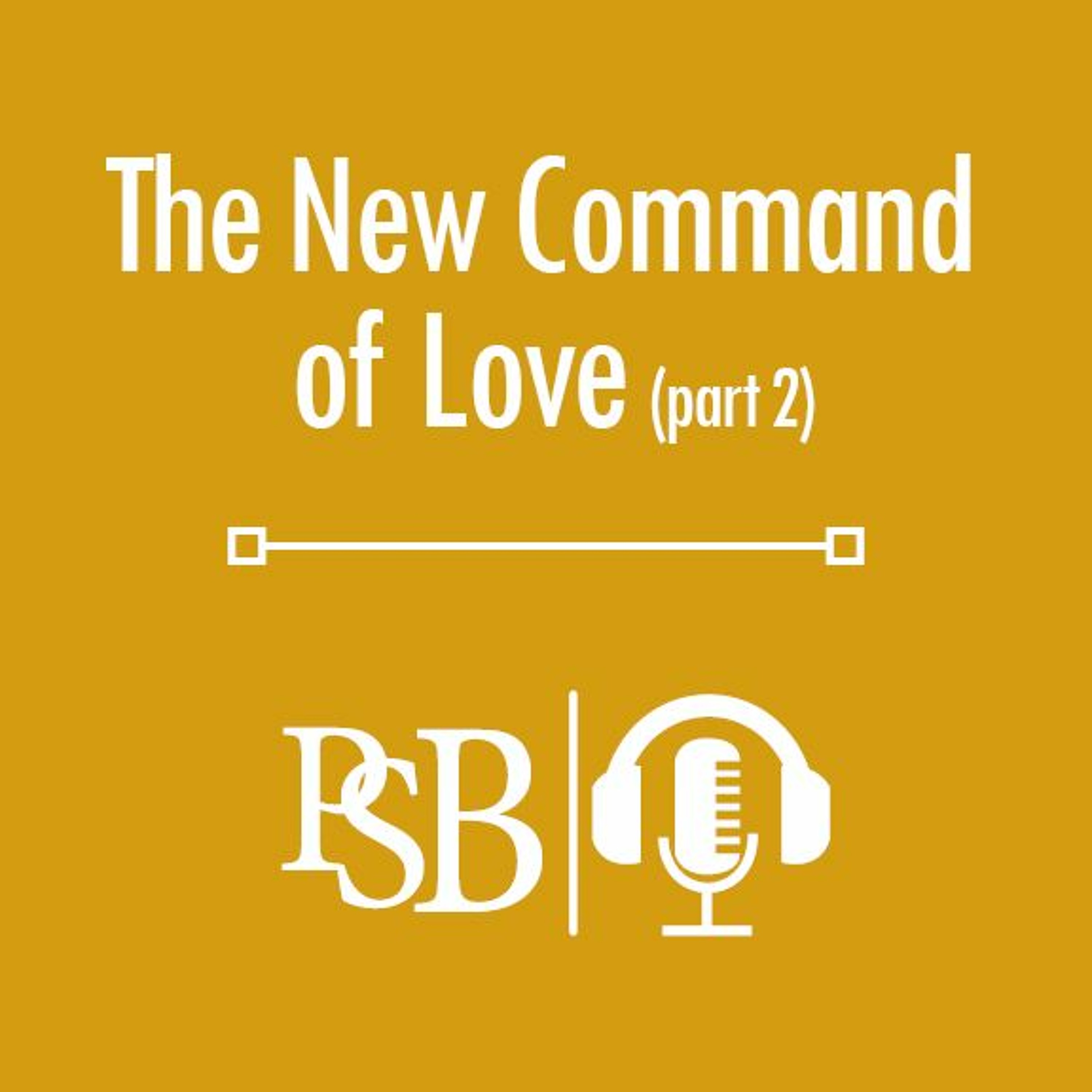 Pure and Simple Bible