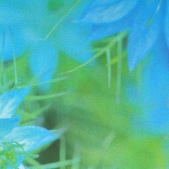 hyaline dream (first try)