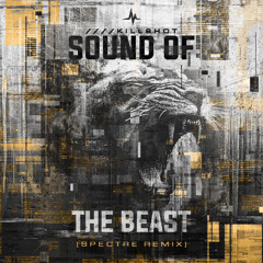 Killshot - Sound Of The Beast (Spectre Remix)