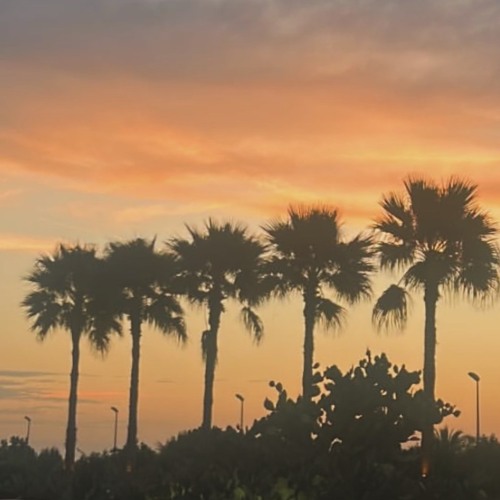 Mahsa-Sunset ( JKC live record )