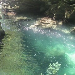 jaytoanti - what u need (音楽 Radio)