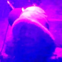 LO-FI 2
