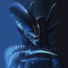 btn x Tefrox - Stranger