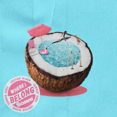 Cristian Bloom & Summer Vibes - Where I Belong