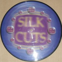 Silk Cuts 10 - Happy Hardcore - To The Moon And Back