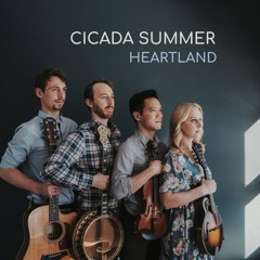 Cicada Summer Inteview