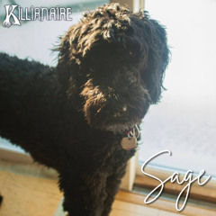 Sage