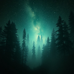 Forest/Darkpsy Jam Session