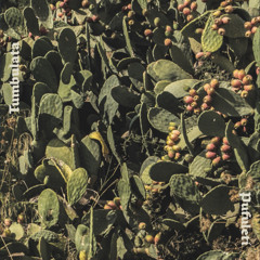 Pufuleti - Ya No Es El Mismo