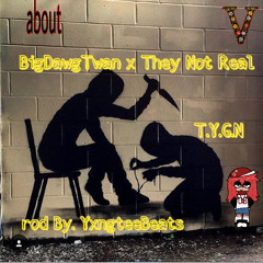 BigDawgTwan X They Not Real