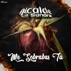 Me Sobrabas Tú 2024 - Alcade La Sonora