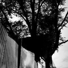 Catastrophic [Single] [Unmixed/Unmastered]