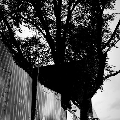 Catastrophic [Single] [Unmixed/Unmastered]