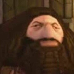 I trapped in the PS2 start menu,pls send help