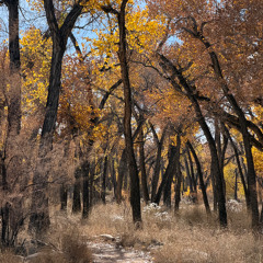 all the pretty girls