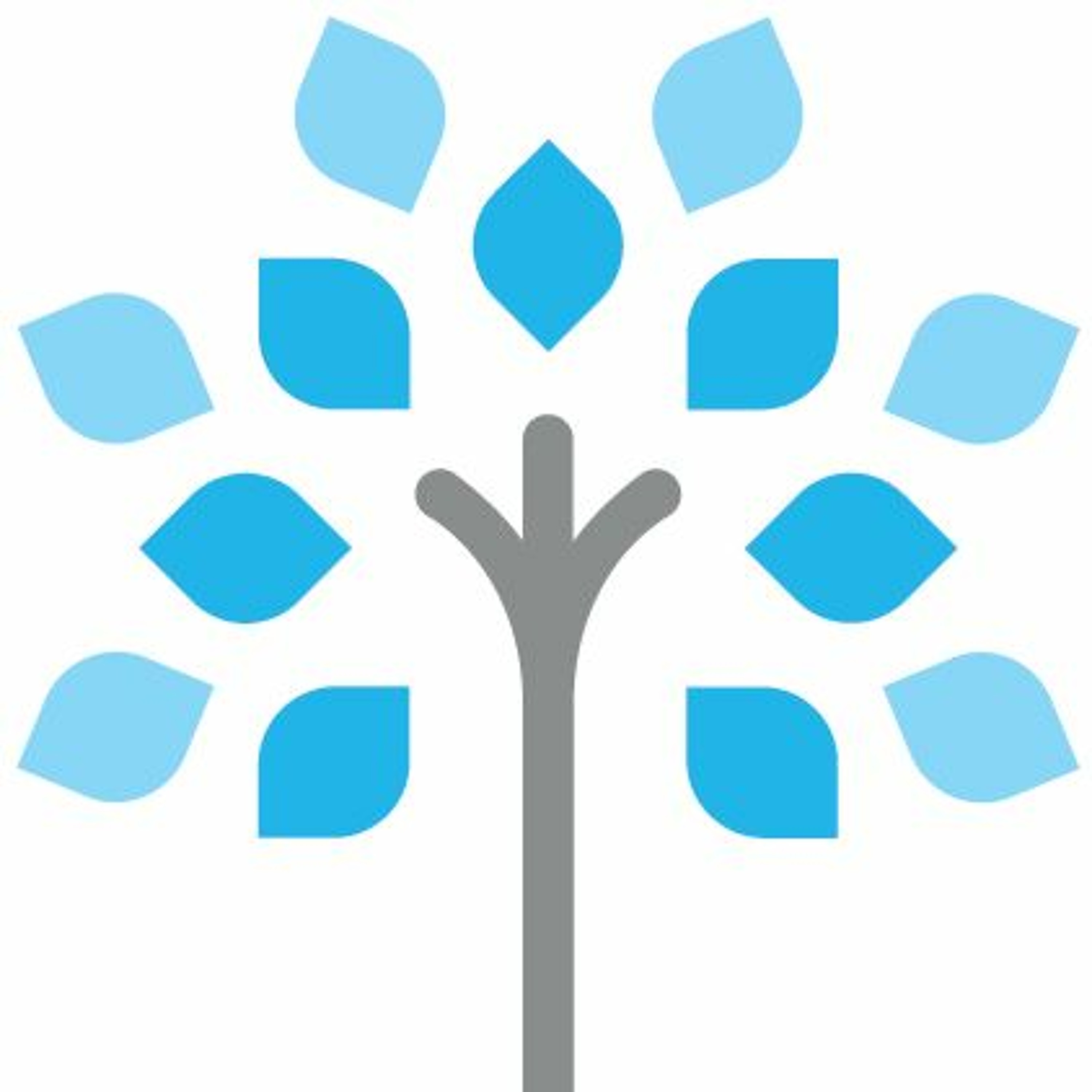 Episode 1: Advice for Becoming a Competitive Scholarship Candidate (with guest Cate Praggastis)