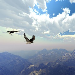 Glider