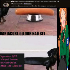 DARIACORE OU DNB ALGO ASSIM POR AI