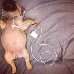 what u gon do mylancore flip