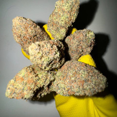 Frosty x Mr Bando- Hermano {Uncensored}