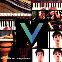 Jacob Collier - Don't You Worry 'Bout A Thing (vailot remix)FREE DOWNLOAD