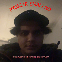 Pysklir Småland #tjockatjejer #ärded5