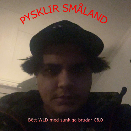 Pysklir Småland #tjockatjejer #ärded5