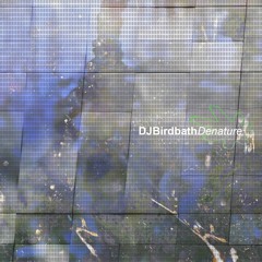 Dj Birdbath - Denature (innerinnerlife be someone mix)