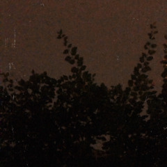 một bài hát cho nhau (2) - trang (cover)