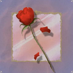 Maguro - 331 hotel room (with. SIM2,dongdang)