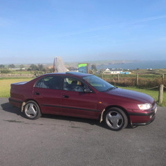 Rise and Shine - King Of The Road🐎