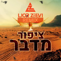 עדן חסון - ציפור מדבר (Lior Zeevi Remix)
