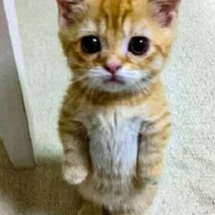 Rent’s Due By The 5th