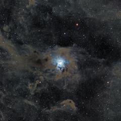 Vol. 15 - Asteroid Belt