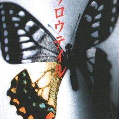 Swallowtail Butterfly