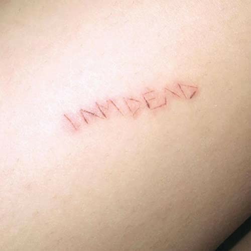 IAMDEAD - my suicide note to my friends (instrumental)