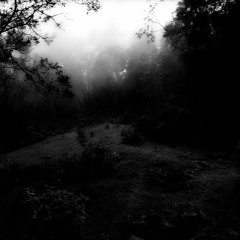 Abrase The Marble For A New Language