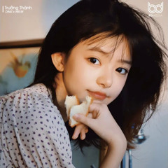 Trưởng Thành (Lofi ver.) - Dimz x Will M - Chữ tình không vẹn câu, chữ tiền không đến đâu Tiktok