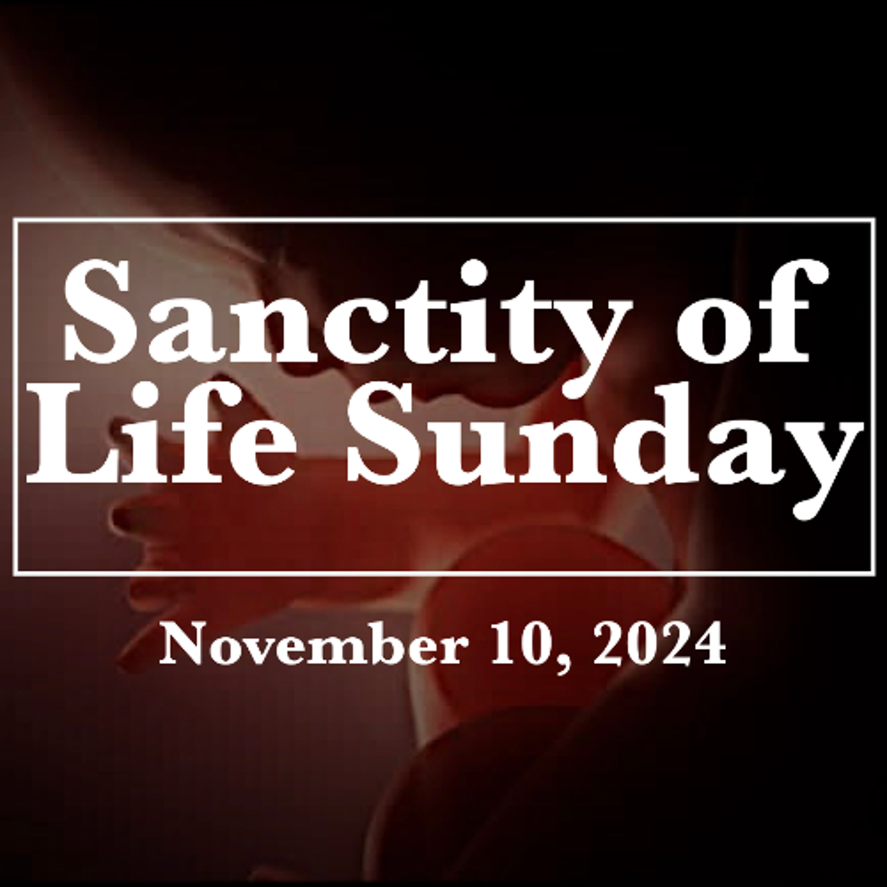 “Sanctity of Life Sunday”, Will DuVal | 11/10/24 episode artwork