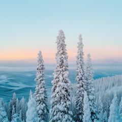 Proud Woman (Turn Around) (Edit)