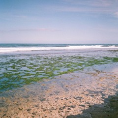 SOPHIA ZHURAVKOVA W/ AIEL 220226