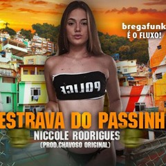 Niccole Rodrigues, Destravada do Passinho (Prod. Chavoso)